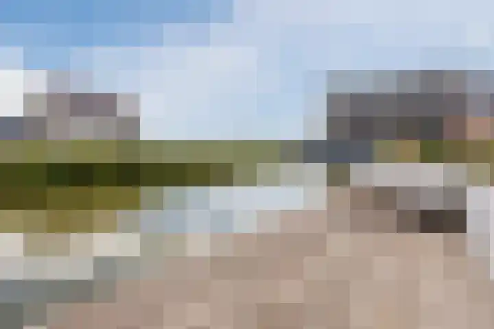 Sterrenkroos 12 Bergen op Zoom thumbnail 67