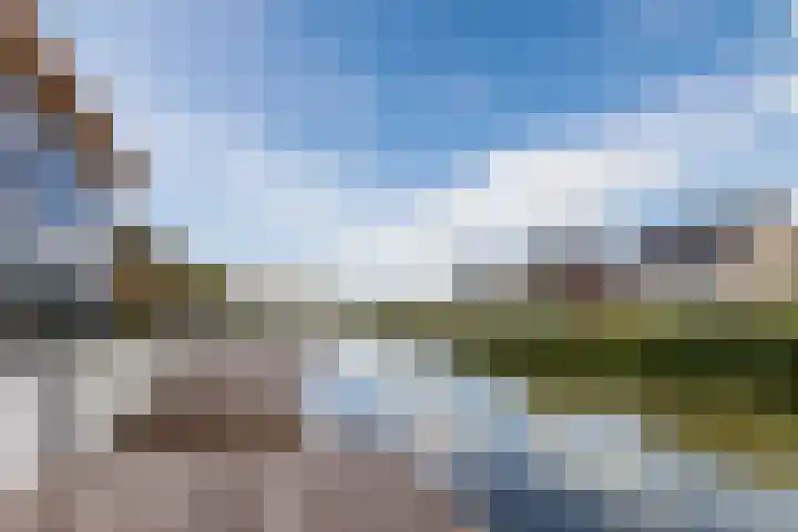 Sterrenkroos 12 Bergen op Zoom thumbnail 70