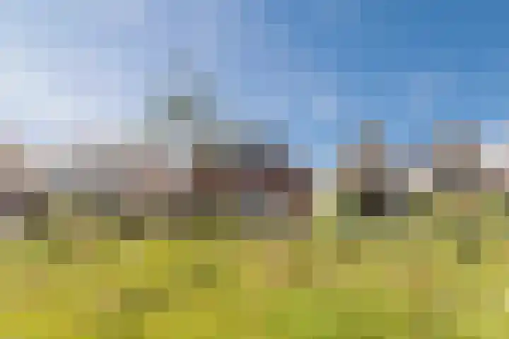 Sterrenkroos 12 Bergen op Zoom thumbnail 72