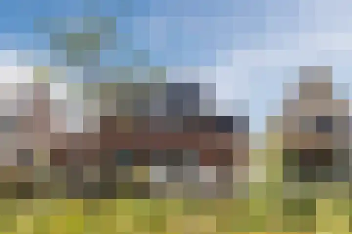 Sterrenkroos 12 Bergen op Zoom thumbnail 73