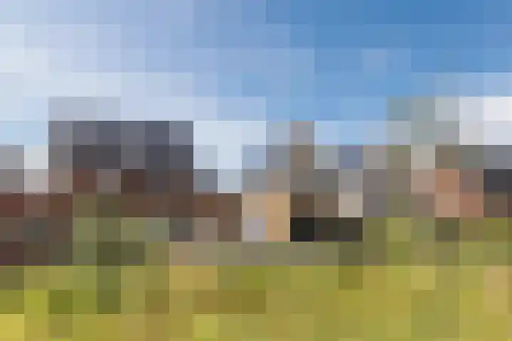 Sterrenkroos 12 Bergen op Zoom thumbnail 75