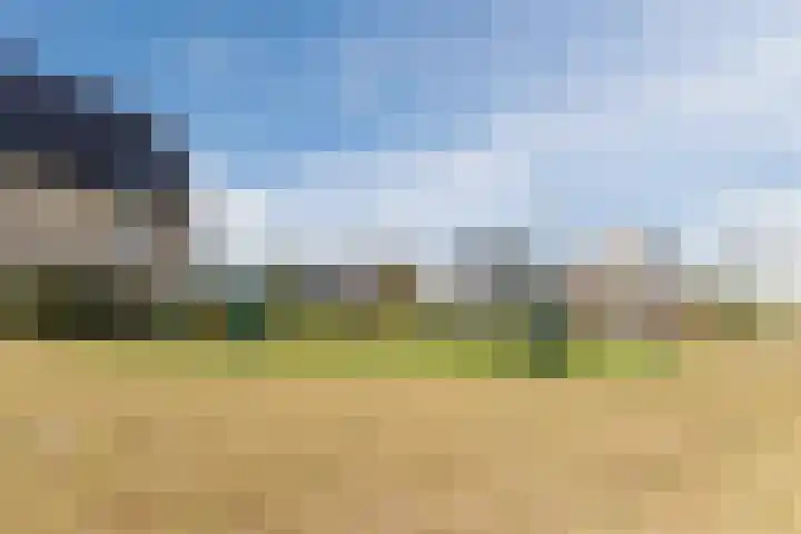 Sterrenkroos 12 Bergen op Zoom thumbnail 76