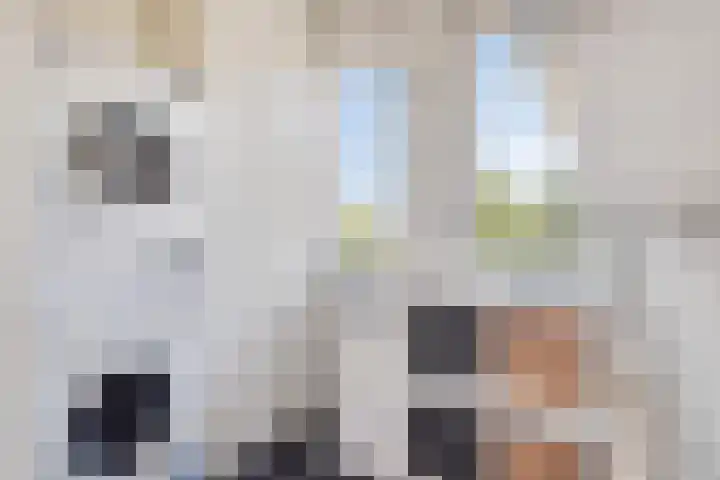 Sterrenkroos 121 Breda thumbnail 32