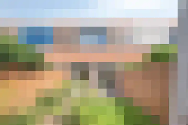 Sterrenkroos 121 Breda thumbnail 33
