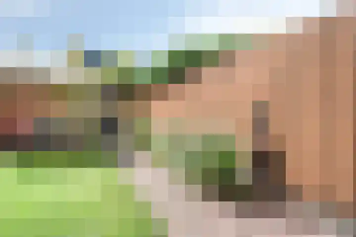 Sterrenkroos 121 Breda thumbnail 36