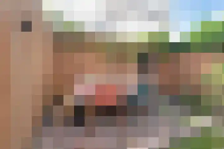 Sterrenkroos 121 Breda thumbnail 37