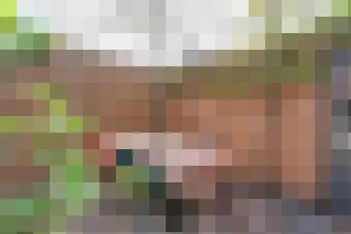 Sterrenkroos 121 Breda thumbnail 38