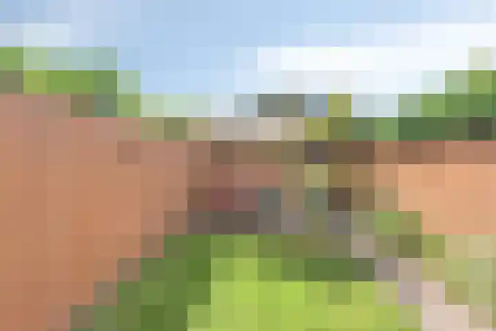 Sterrenkroos 121 Breda thumbnail 5