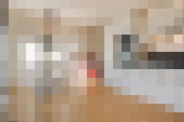 Sterrenkroos 122 Zwolle thumbnail 15