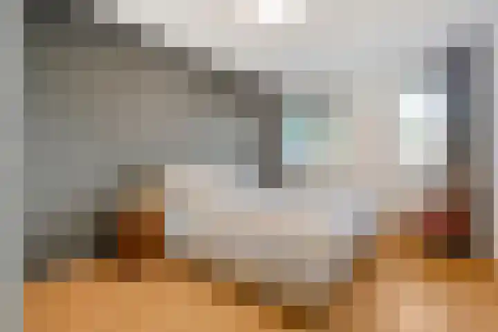 Sterrenkroos 122 Zwolle thumbnail 18