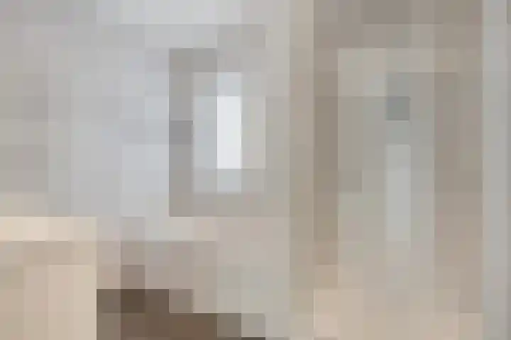 Sterrenkroos 122 Zwolle thumbnail 20