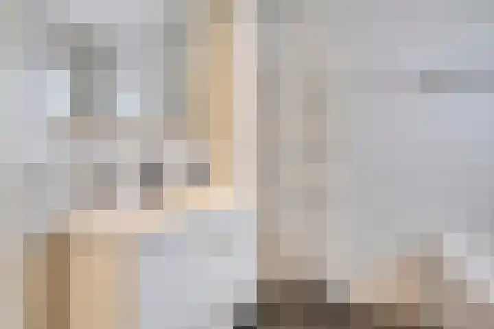 Sterrenkroos 122 Zwolle thumbnail 21