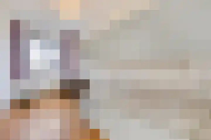 Sterrenkroos 122 Zwolle thumbnail 22