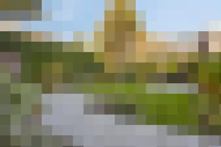 Sterrenkroos 122 Zwolle thumbnail 31