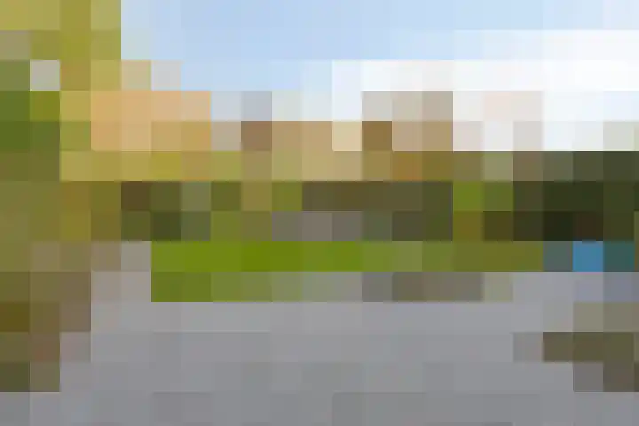 Sterrenkroos 122 Zwolle thumbnail 32