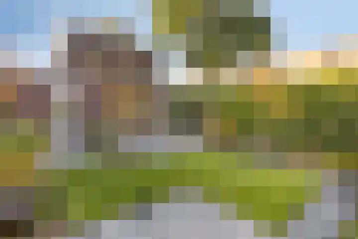 Sterrenkroos 122 Zwolle thumbnail 33