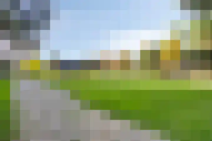 Sterrenkroos 122 Zwolle thumbnail 35