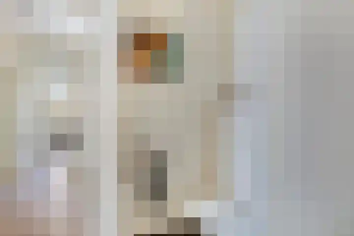 Sterrenkroos 125 Zwolle thumbnail 17