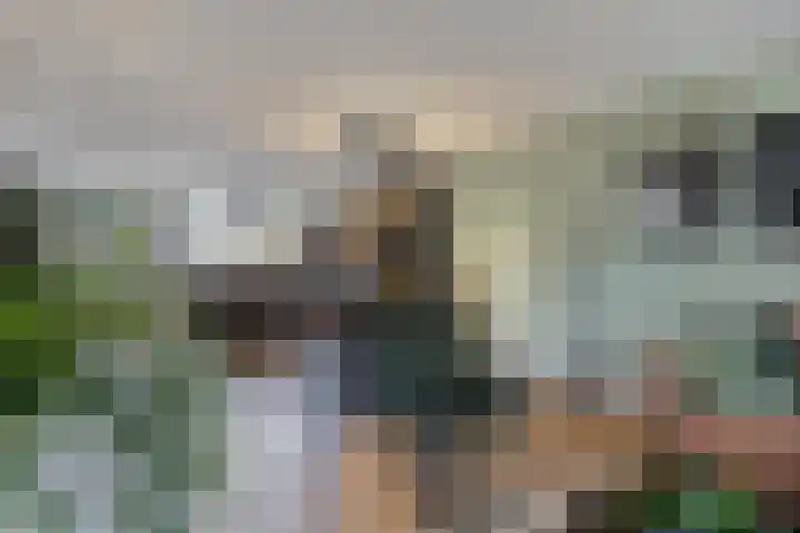 Sterrenkroos 125 Zwolle thumbnail 23