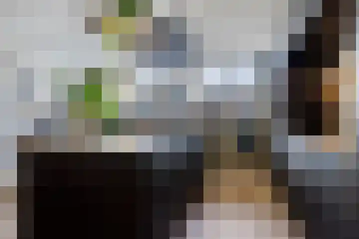Sterrenkroos 125 Zwolle thumbnail 31