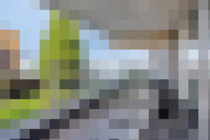 Sterrenkroos 125 Zwolle thumbnail 33