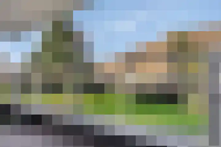 Sterrenkroos 125 Zwolle thumbnail 36