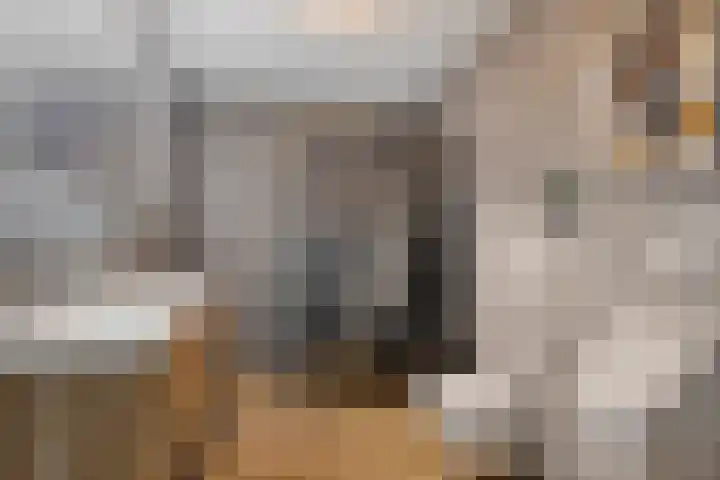 Sterrenkroos 125 Zwolle thumbnail 4