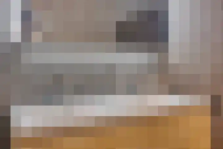 Sterrenkroos 125 Zwolle thumbnail 41