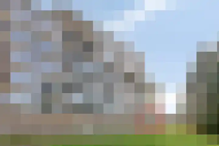 Sterrenkroos 125 Zwolle thumbnail 6