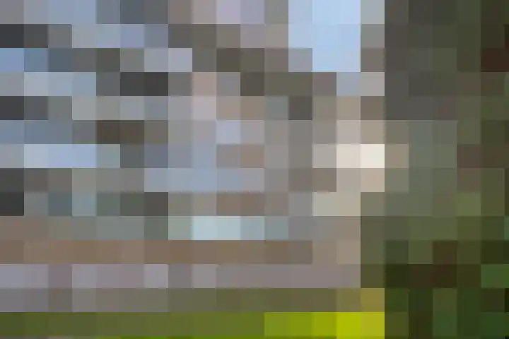 Sterrenkroos 125 Zwolle thumbnail 9