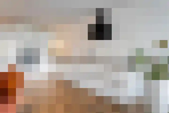 Sterrenkroos 135 Zwolle thumbnail 13