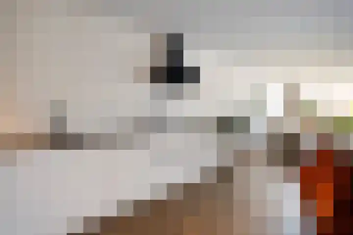 Sterrenkroos 135 Zwolle thumbnail 15