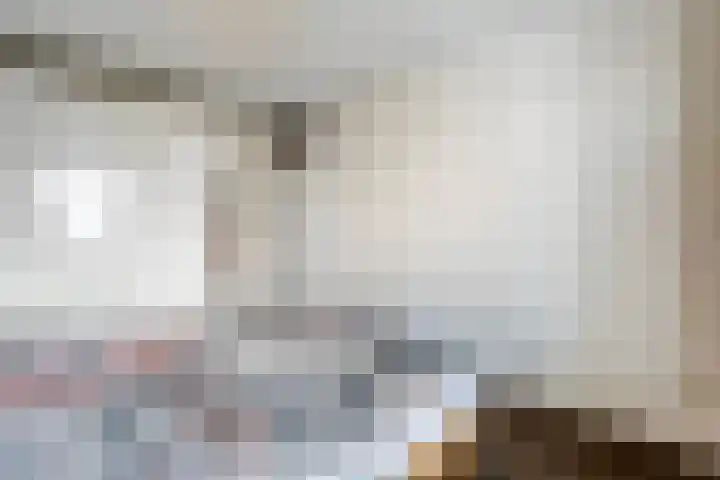 Sterrenkroos 135 Zwolle thumbnail 23