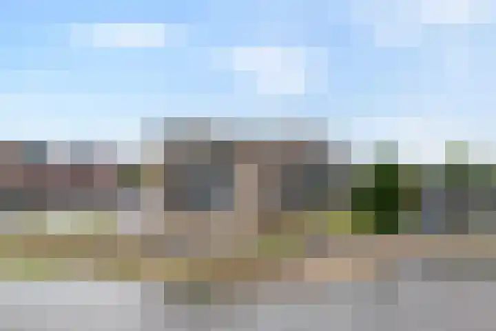 Sterrenkroos 135 Zwolle thumbnail 28