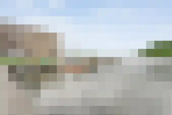 Sterrenkroos 135 Zwolle thumbnail 30