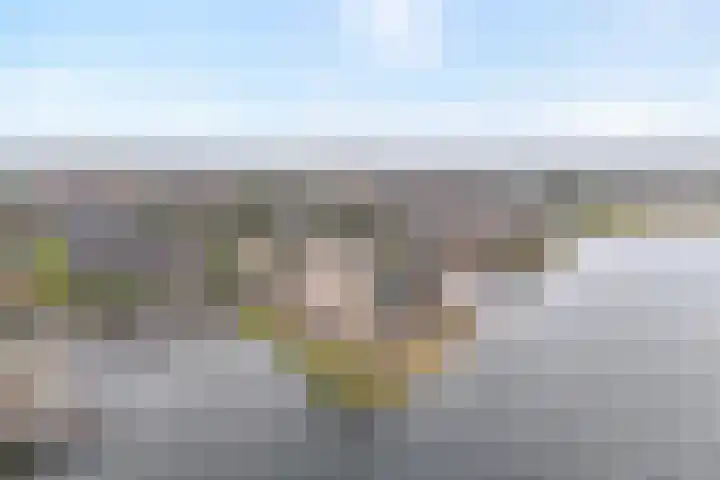 Sterrenkroos 135 Zwolle thumbnail 31
