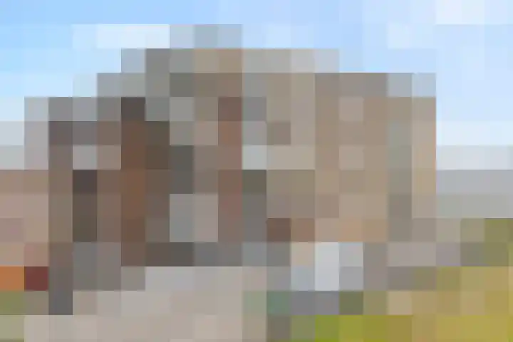 Sterrenkroos 135 Zwolle thumbnail 32