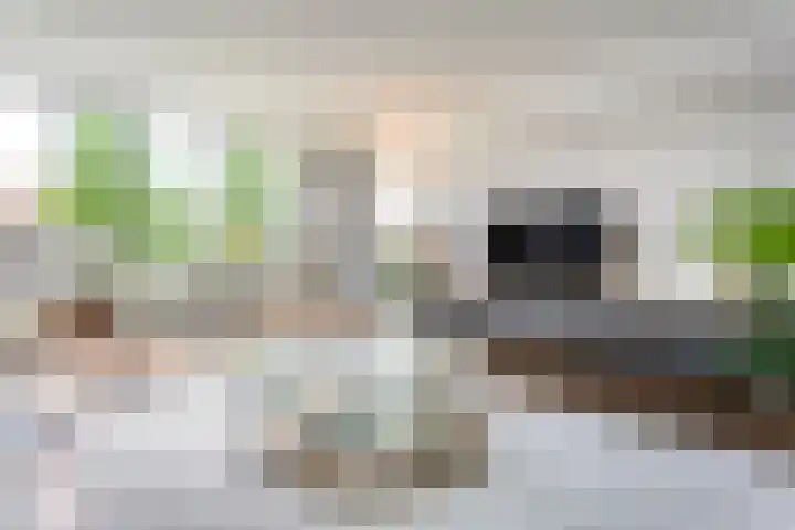 Sterrenkroos 135 Zwolle thumbnail 7