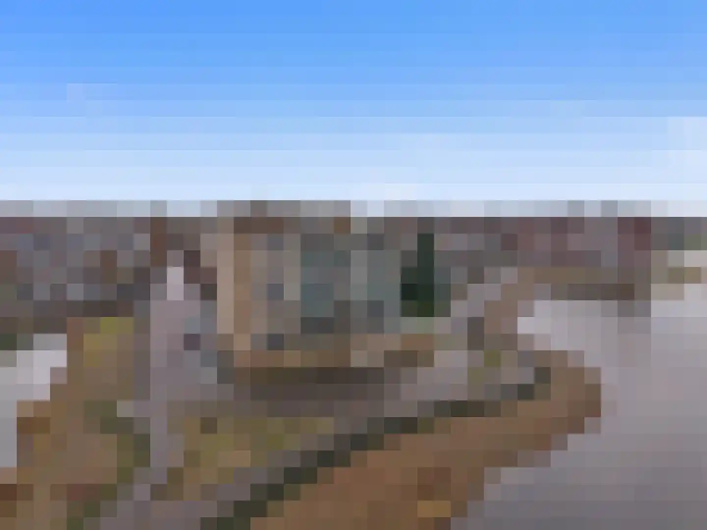 Sterrenkroos 141 Zwolle thumbnail 23