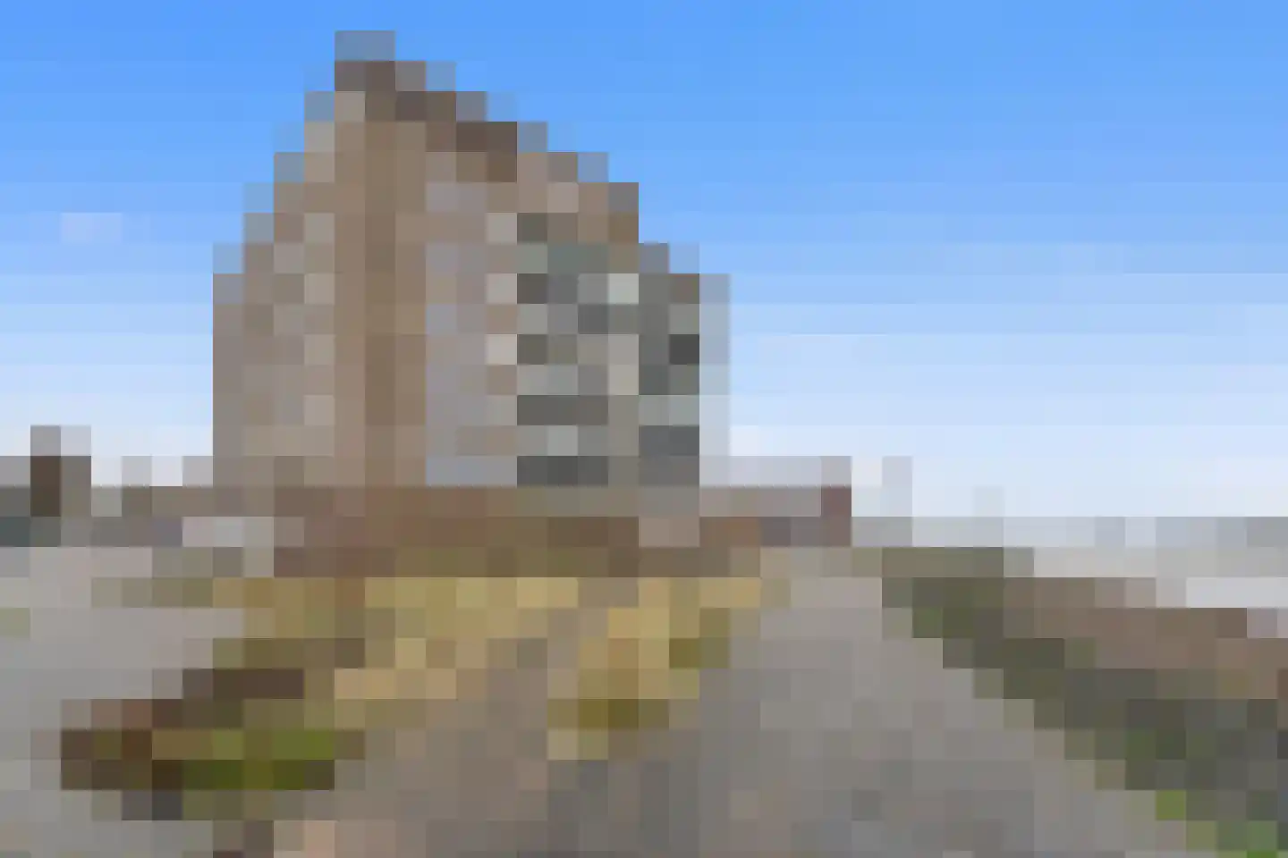 Sterrenkroos 141 Zwolle thumbnail 25