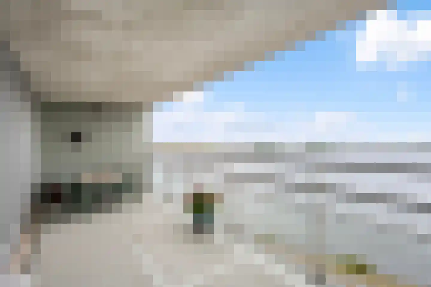 Sterrenkroos 155 Zwolle thumbnail 20
