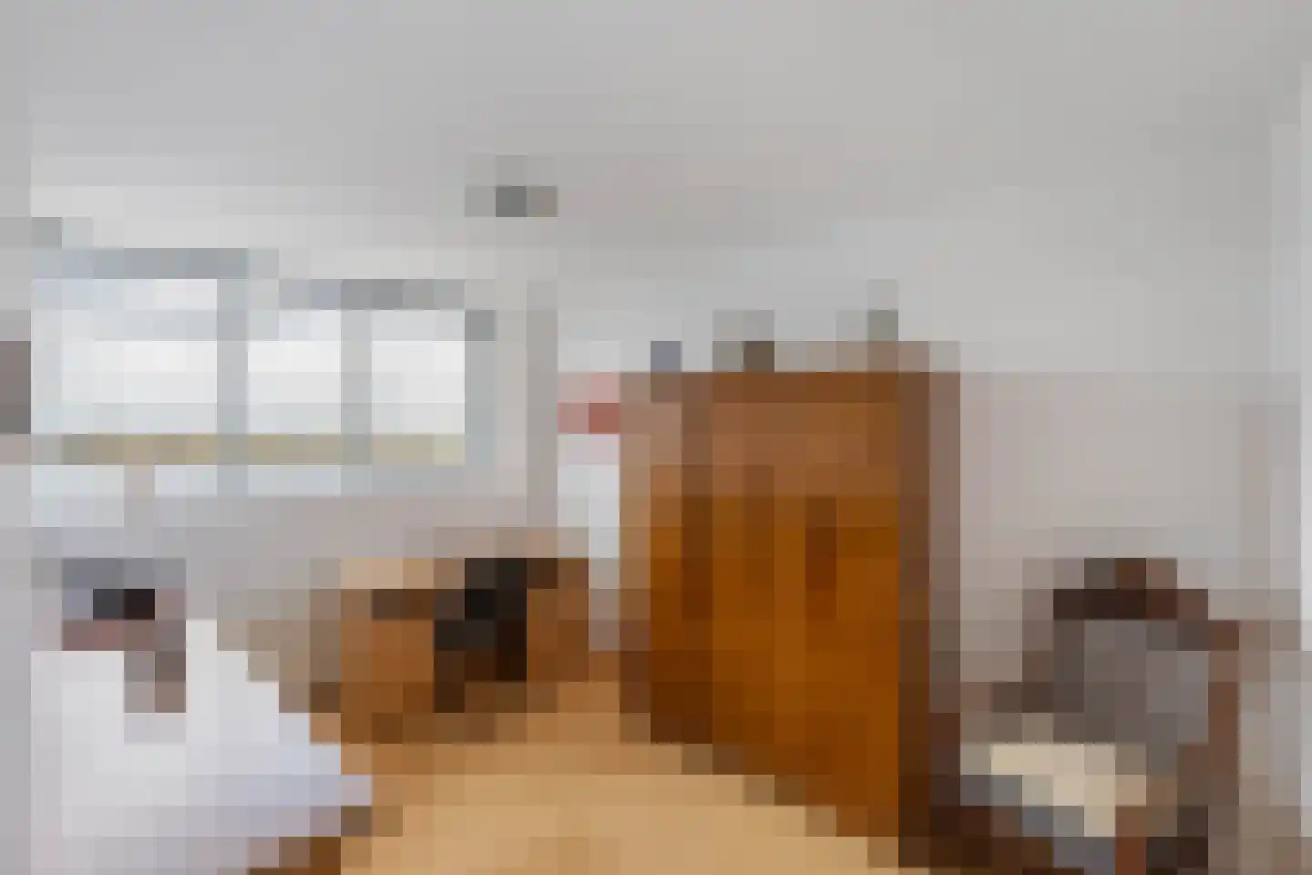 Sterrenkroos 155 Zwolle thumbnail 22