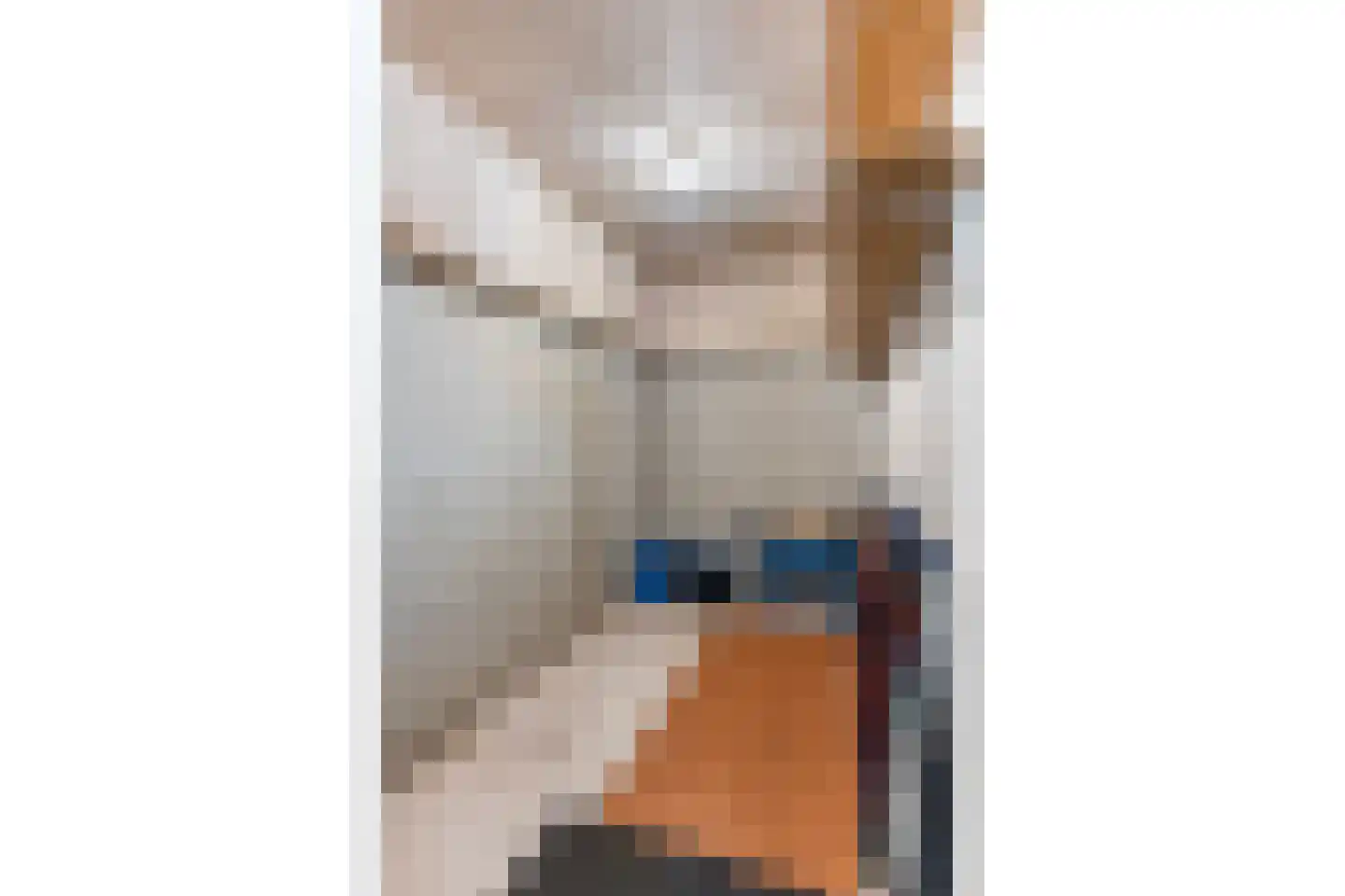 Sterrenkroos 155 Zwolle thumbnail 30