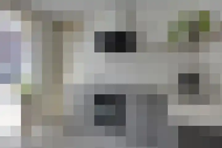 Sterrenkroos 164 Zwolle thumbnail 10