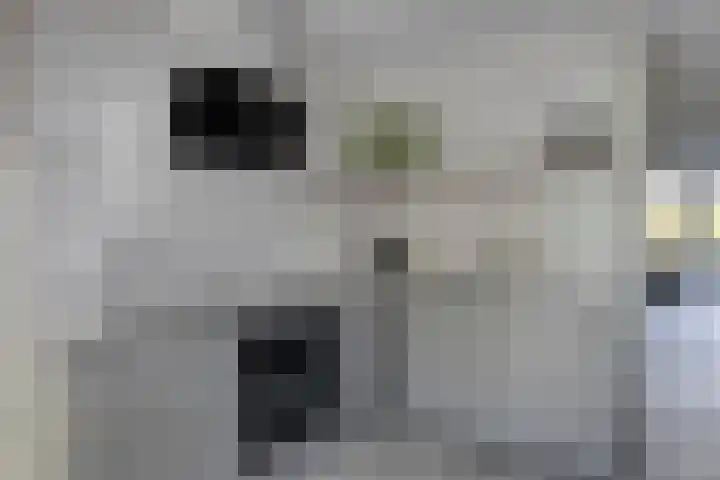 Sterrenkroos 164 Zwolle thumbnail 11