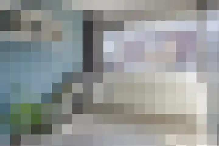 Sterrenkroos 164 Zwolle thumbnail 15