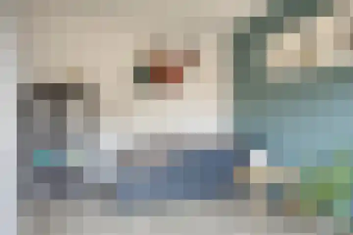 Sterrenkroos 164 Zwolle thumbnail 16