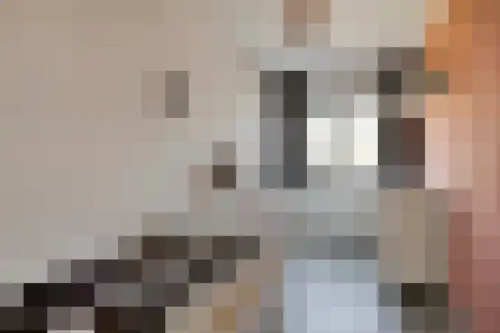 Sterrenkroos 164 Zwolle thumbnail 17