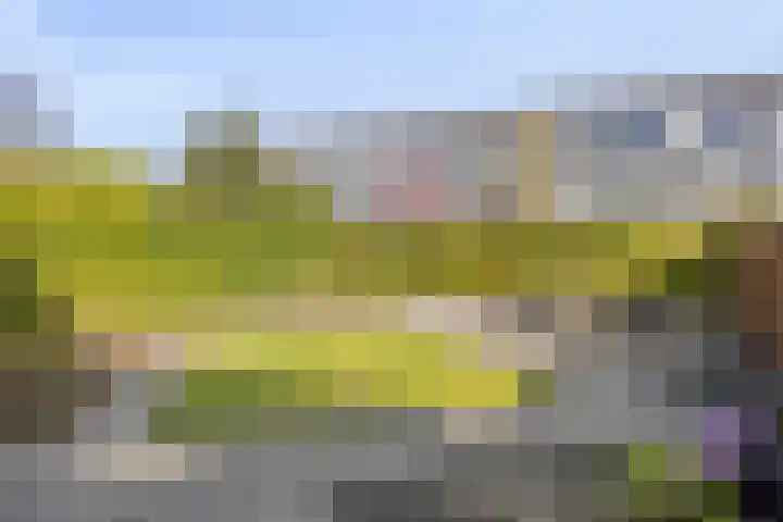 Sterrenkroos 164 Zwolle thumbnail 24