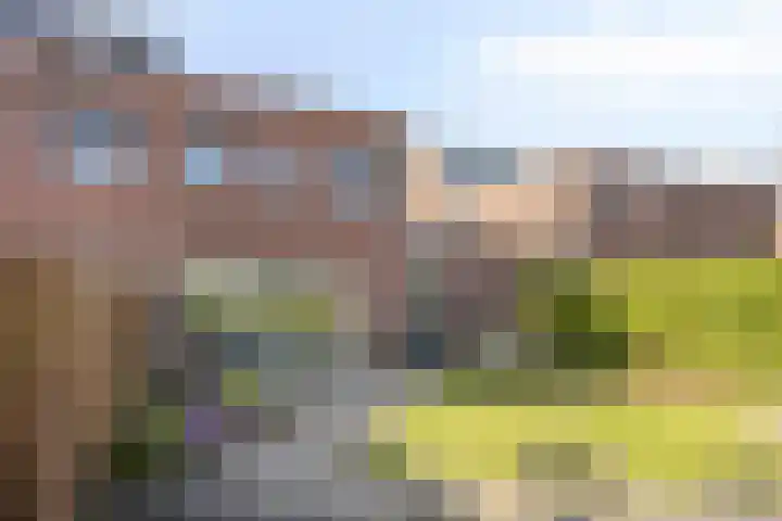 Sterrenkroos 164 Zwolle thumbnail 25